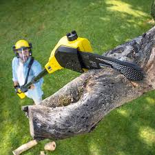 Best Lawn Mowing  in Lawndale, CA